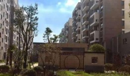 广东二建行情最新爆料,价格波动与市场动态全解析